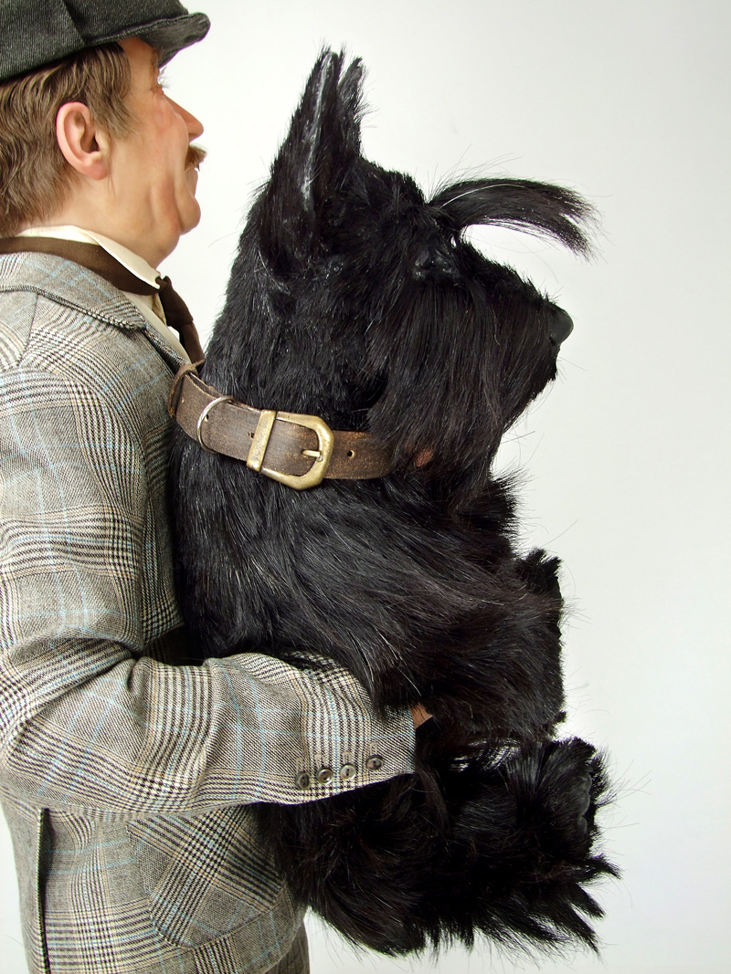 ��������� ��������, 2015 ���. ����� ������� ������